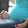 modulo bonus mamme disoccupate